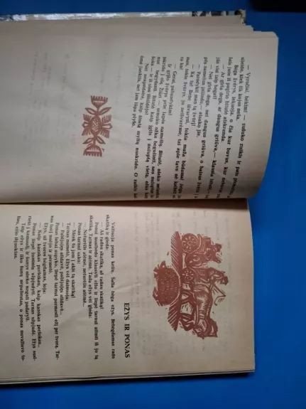 Gulbė karaliaus pati