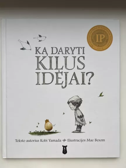 Ką daryti kilus idėjai?