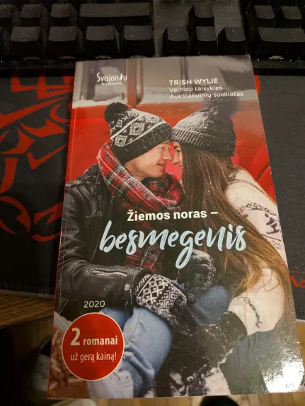 Žiemos noras - besmegenis