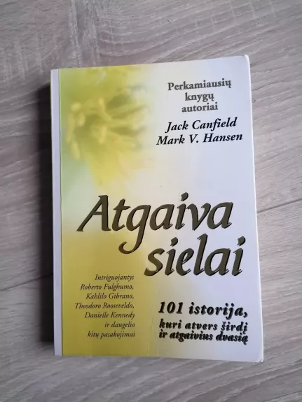 Atgaiva sielai. 101 istorija, kuri atvers širdį, atgaivins dvasią