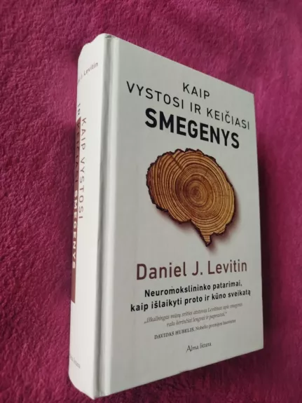 Kaip vystosi ir keičiasi smegenys