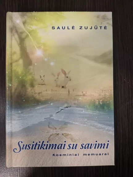 Susitikimai su savimi