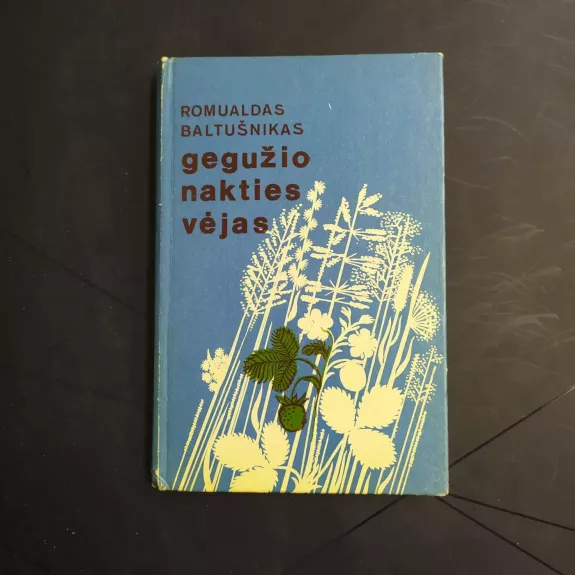 Gegužio nakties vėjas