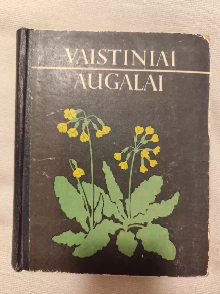 Vaistiniai augalai