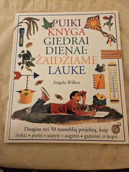 Puiki knyga giedrai dienai: žaidžiame lauke