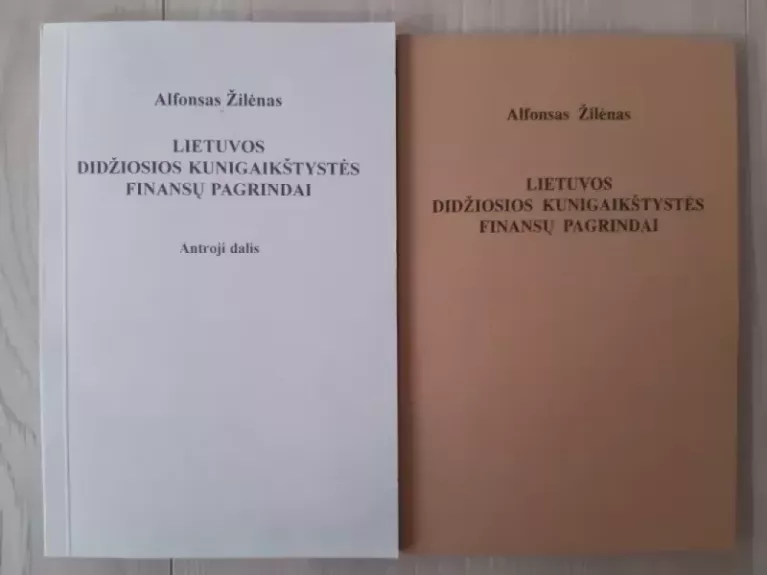 Lietuvos Didžiosios Kunigaikštystės finansų pagrindai