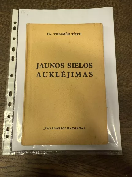 Jaunos sielos auklėjimas