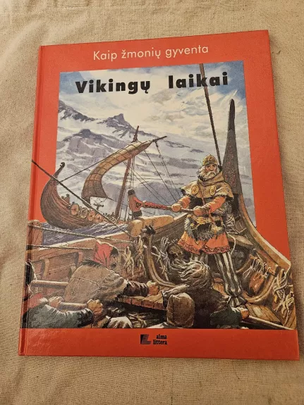Vikingų laikai