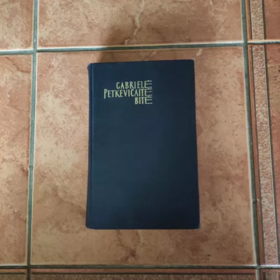 Karo meto dienoraštis