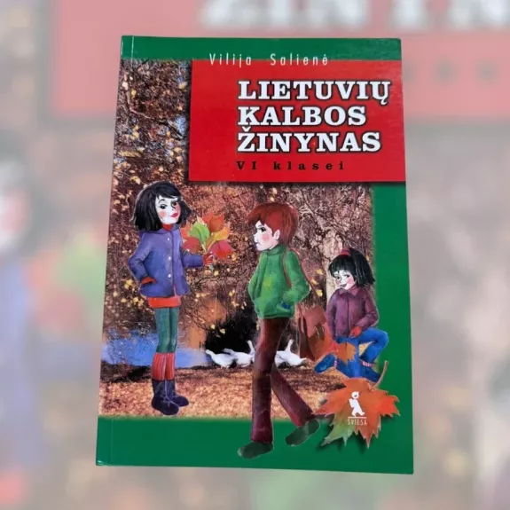 Lietuvių kalbos žinynas VI klasei
