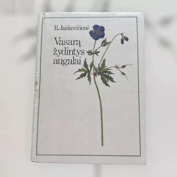 Vasarą žydintys augalai