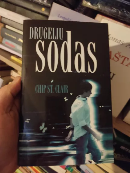 Drugelių sodas