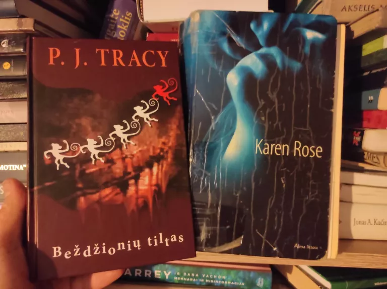 Beždžionių tiltas