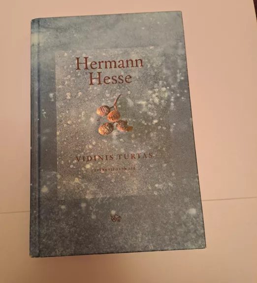 Vidinis turtas: apybraižos ir esė