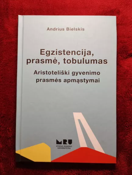 Egzistencija, prasmė, tobulumas. Aristoteliški gyvenimo prasmės apmąstymai.