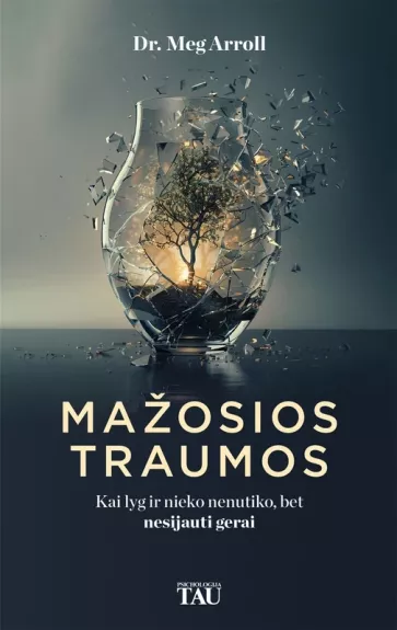 Mažosios traumos.  Kai lyg ir nieko nenutiko, bet nesijauti gerai