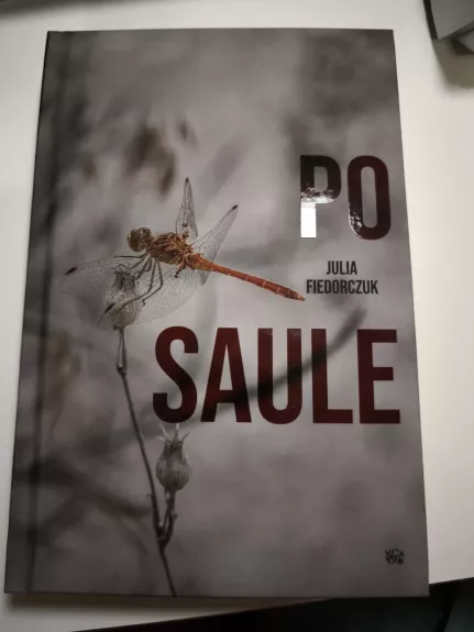 Po saule