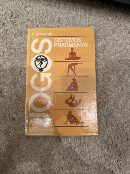 Jogos sistemos pradmenys