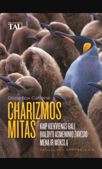 Charizmos mitas: kaip įvaldyti asmeninio žavesio meną ir mokslą