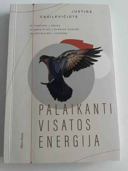Palaikanti visatos energija