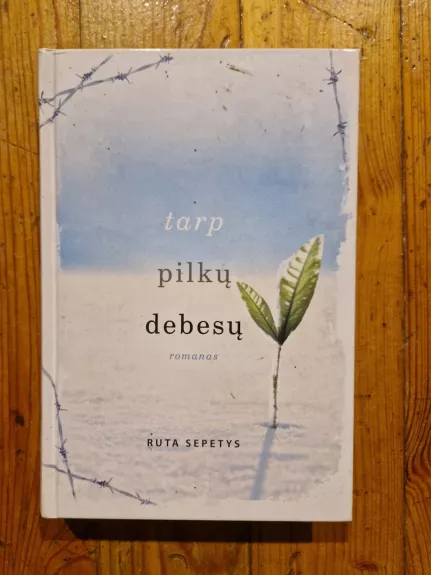 Tarp pilkų debesų