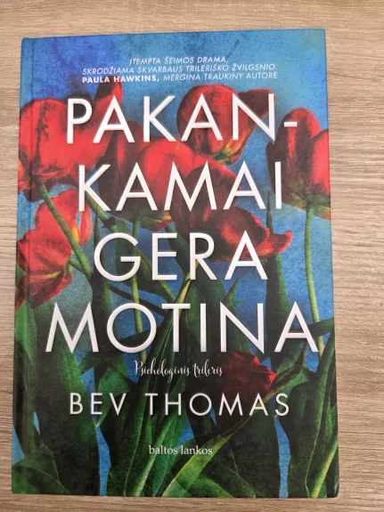 Pakankamai gera motina