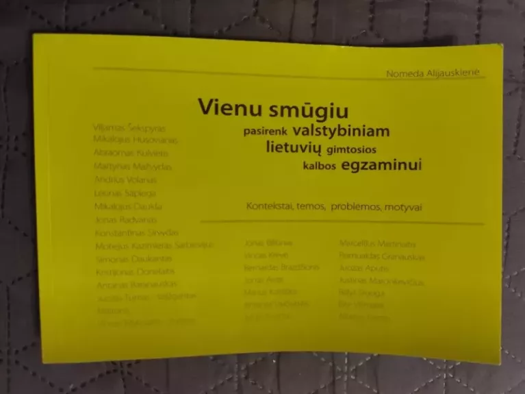 Vienu smūgiu pasirenk valstybiniam lietuvių gimtosios kalbos egzaminui