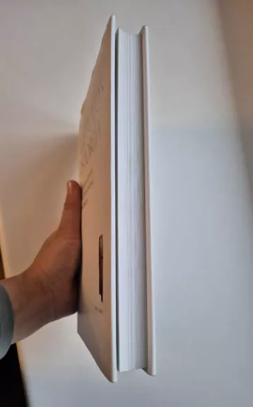 LIETUVOS ISTORIJA Akmens amžius ir Ankstyvasis metalų laikotarpis