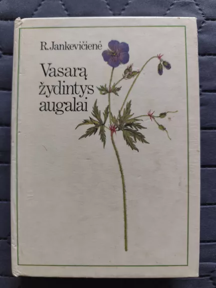 Vasarą žydintys augalai