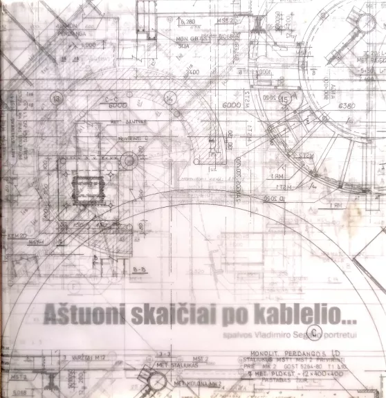 Aštuoni skaičiai po kablelio... Spalvos Vladimiro Segalio portretui