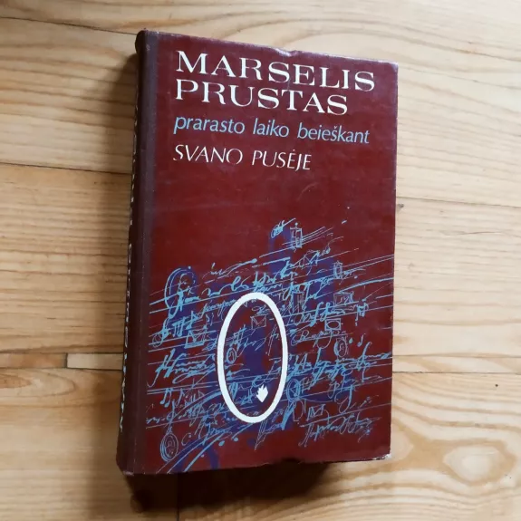 Prarasto laiko beieškant. Svano pusėje