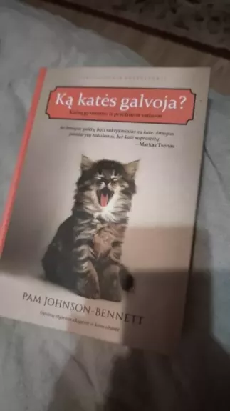 Ką katės galvoja? Kačių gyvenimo ir priežiūros vadovas