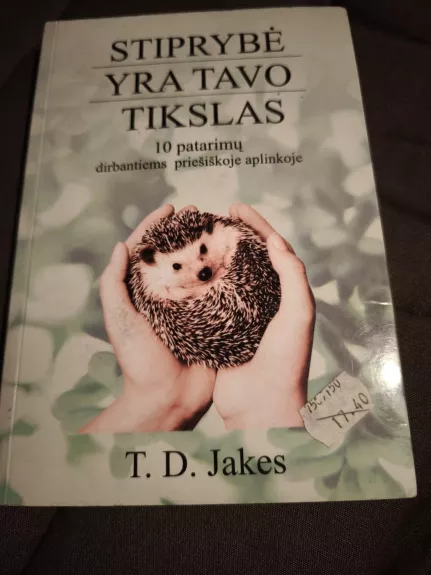 Stiprybė yra tavo tikslas: 10 patarimų dirbantiems priešiškoje aplinkoje