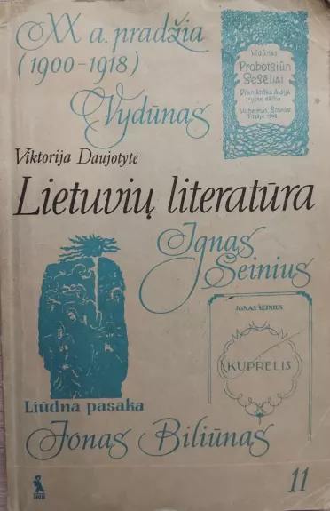 Lietuvių literatūra 11 kl.