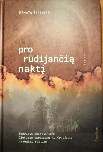 Pro rūdijančią naktį