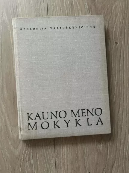 Kauno meno mokykla
