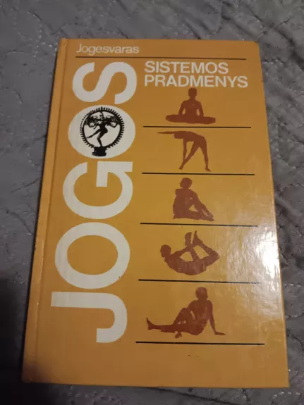 Jogos sistemos pradmenys