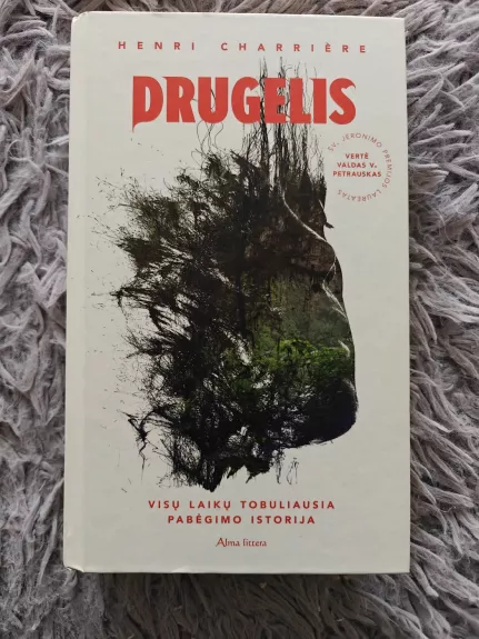 Drugelis