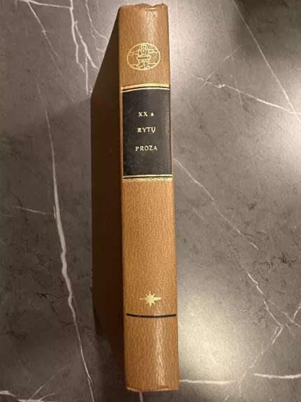 XX a. rytų proza