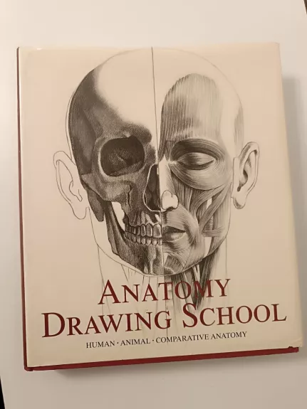Anatomy drawing school
