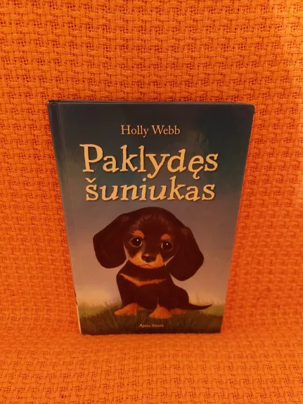 Paklydęs šuniukas