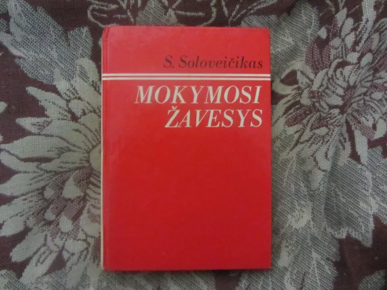 Mokymosi žavesys