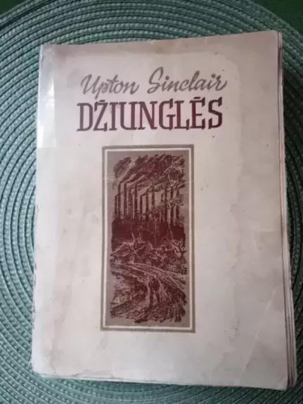 Džiunglės