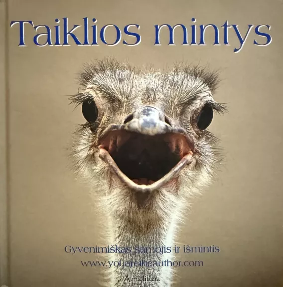 Taiklios mintys