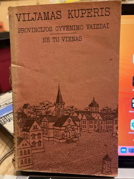 Provincijos gyvenimo vaizdai, Ne tu vienas