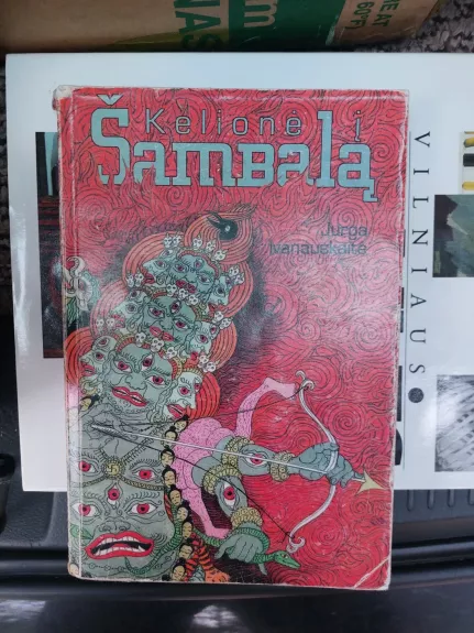 Kelionė į Šambalą