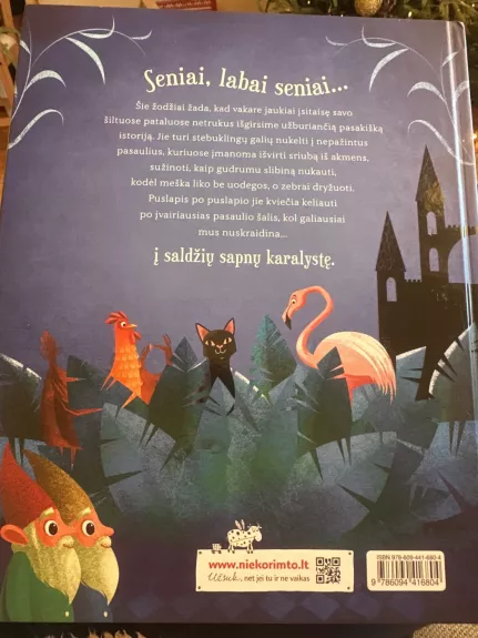 Vakaro pasakos iš viso pasaulio