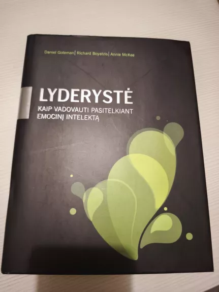 Lyderystė. Kaip vadovauti pasitelkiant emocinį intelektą