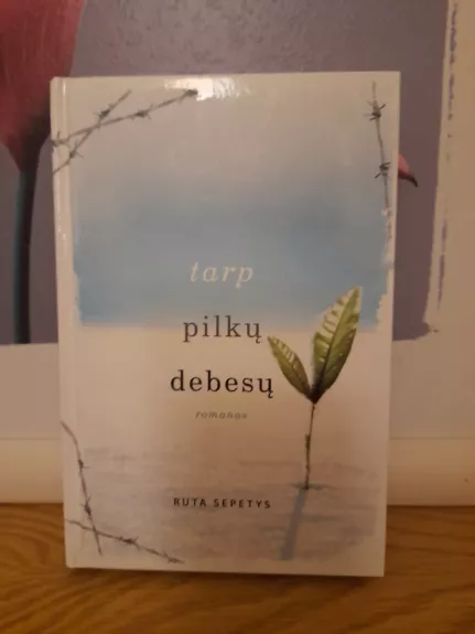 Tarp pilkų debesų