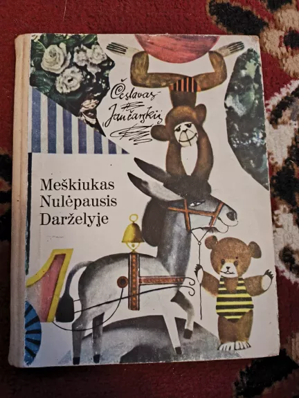 Meškiukas Nulėpausis darželyje